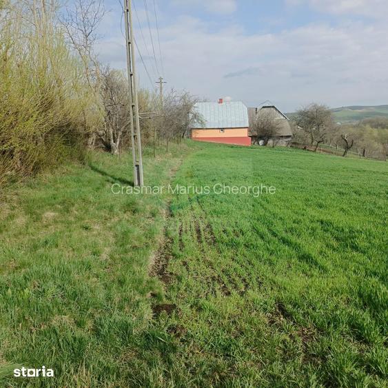 Teren intravilan Ili?e?ti/Suceava