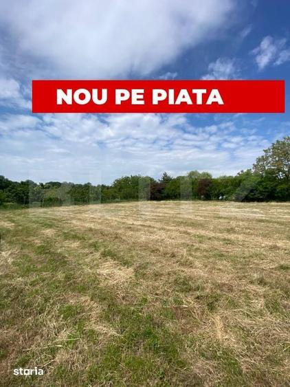 Teren intravilan, 820 mp, front 25 ml, zona Padure Giroc - 3