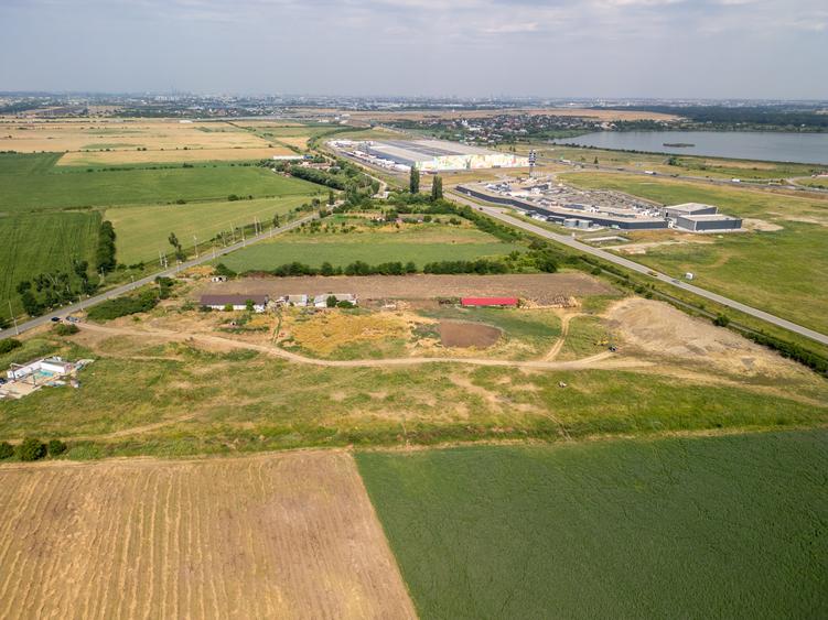 Teren Construcții intravilan de 30000 mp, în Cernica