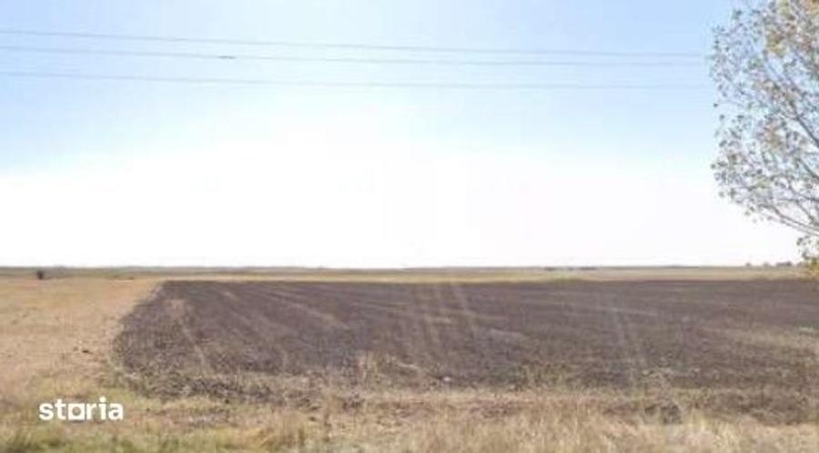 Teren de 16700 mp, în Amaru