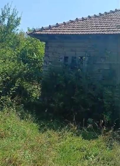 Casă în Central