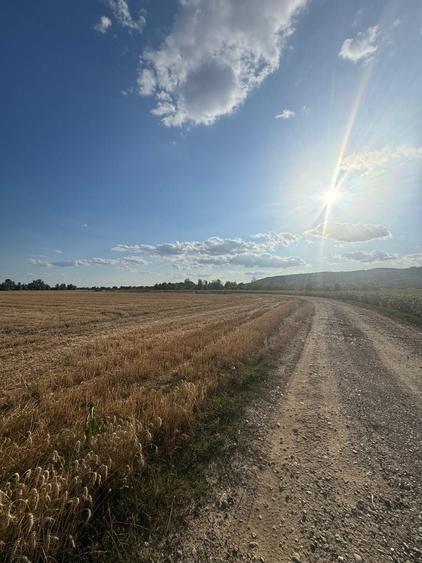 Teren agricol intravilan de 520 mp, în Fughiu