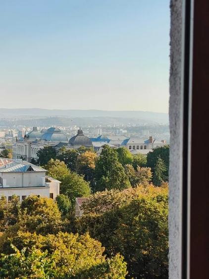 Apartament cu 2 camere decomandat, mobilat în Copou