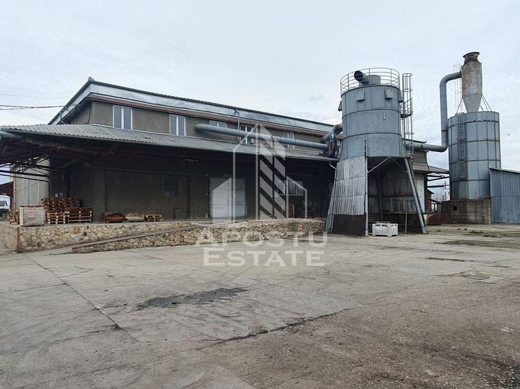 SPATIU INDUSTRIAL cu 3 hale si depozite acoperite - 5