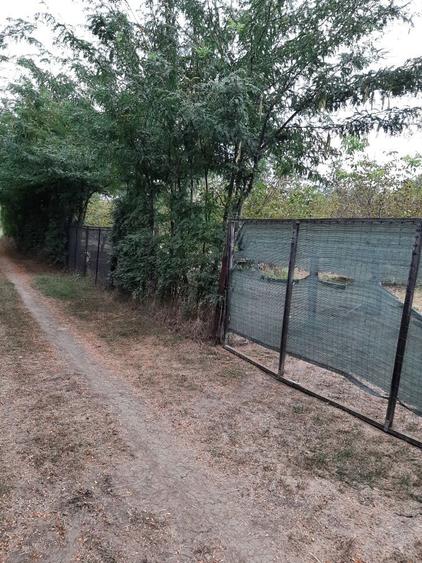 Teren str Casa Apelor - 2