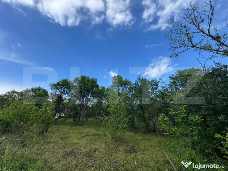 Teren extravilan de vanzare, 6000 mp, zona Hateg - 3