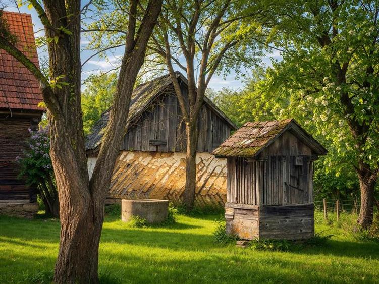 FILM! Oaza ta de liniste pe 4.900mp teren intravilan, Tufalau, Covasna - 2