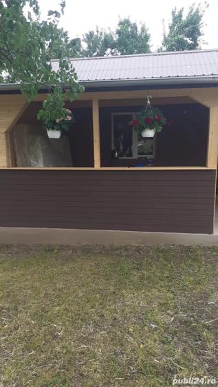 vand casa cu teren 800mp in Mosteni jud Teleorman - 1