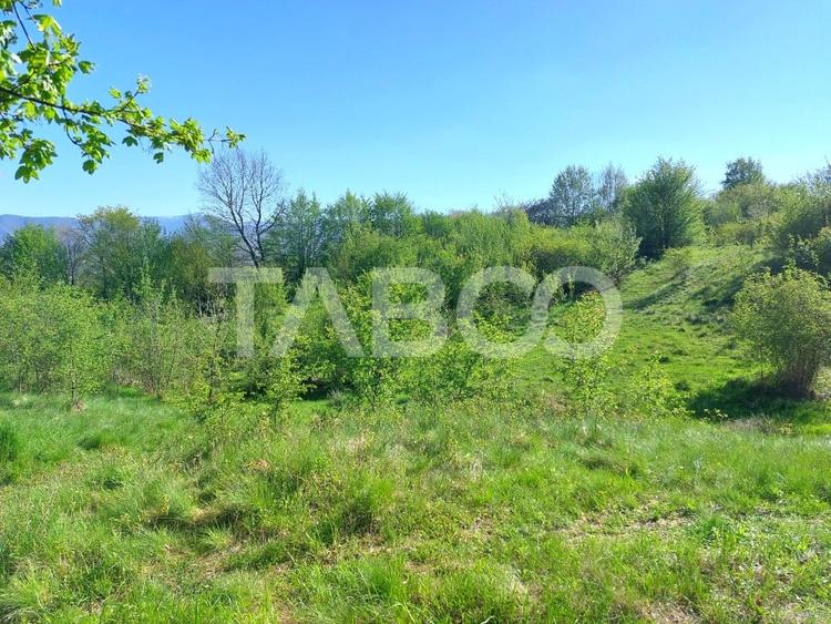 Teren intravilan 4280 mp acces la drum si utilitati zona deosebita - 10