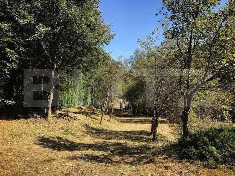 Casa de Vacan?a pe Valea Ighielului 3 camere, 2500 mp curte - 18