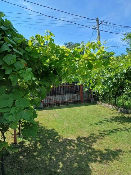 Stefanesti Jud Valcea Casa de Vanzare Curte 3000mp - 6