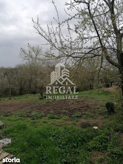 Casa de vanzare in Cerisor lini?te, natura ?i teren generos! - 2