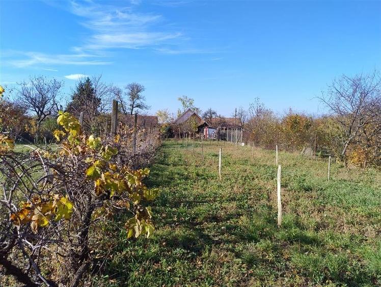 RECO Casa de vanzare in Sisterea - 8