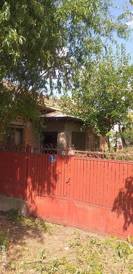 Casa de vanzare la 1kilometru distan?a de alexandria (Poroschia) - 6