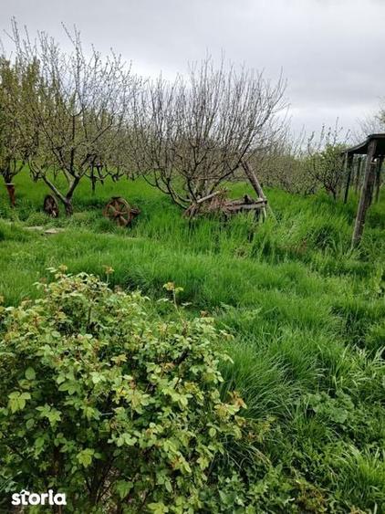 De vanzare casa agro-turistica in Istria - 6