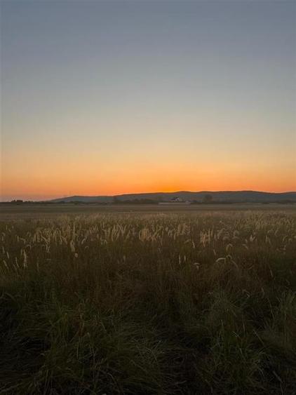 RECO Teren intravilan pentru casa Osorhei cu PUZ - 11