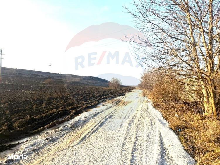 Teren 4.956mp Letea Veche / Calea BARLADULUI - 9