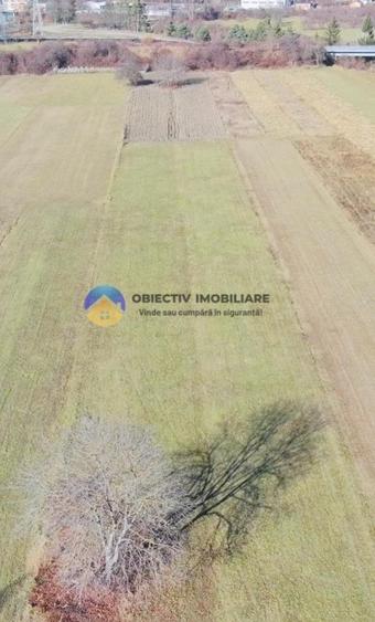 TEREN intravilan  4488 mp - PANGĂRAȚI - 5