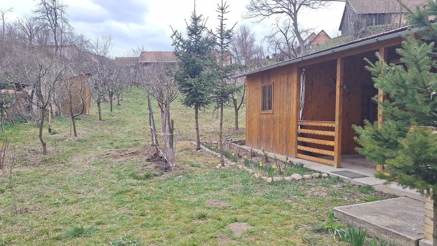 Teren intravilan de 748m patrati cu cabana construita si livada - 6