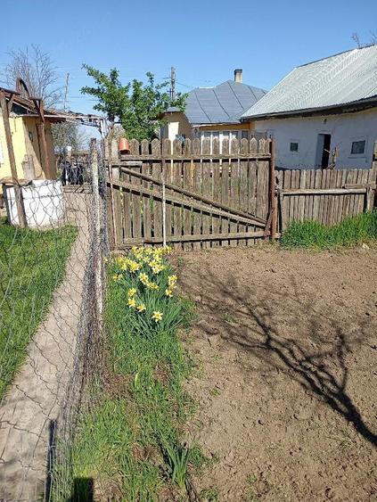 Casa locuita in prezent, de vanzare - 2