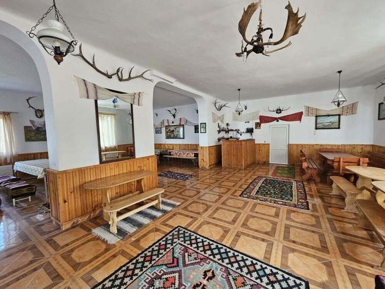 Vanzare amplasament industrial-servicii Tatarasti, Teleorman - 3