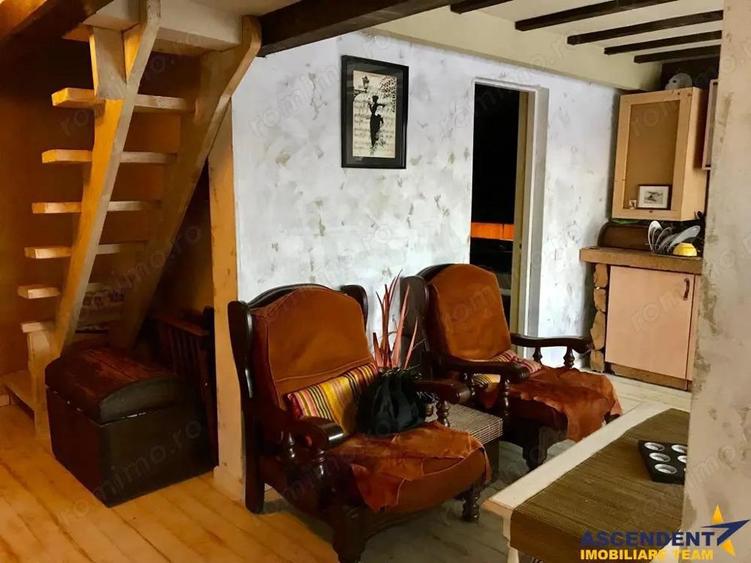 Pet friendly!FILM! In Bohemian Style,loc parcare,curte proprie,vedere panoramica,cartierul Troitelor - 5