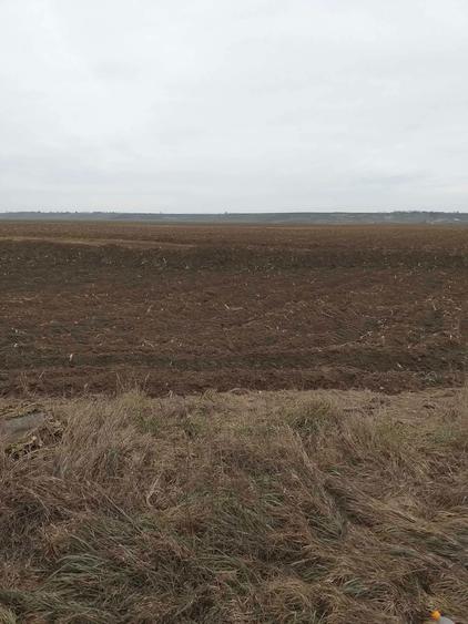 Vand teren extravilan soseaua roman piatra 14500m - 1