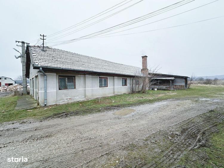 Depozit / Hala, 350 m2, - 3