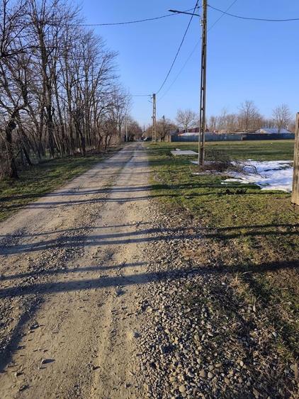 Teren Intravilan Bitina-Ungureni - 6