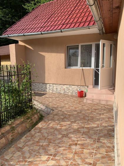 Casa Padurea Neagra - 5