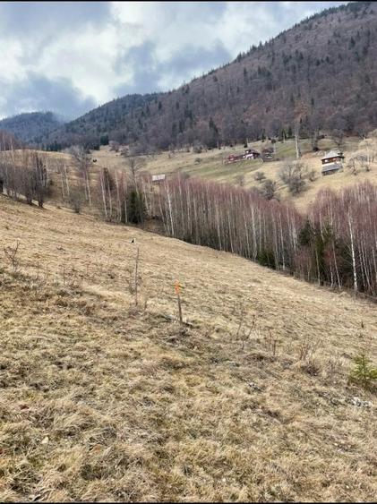 VÂNZARE TEREN CU POTENȚIAL DE DEZVOLTARE ÎN ZONA TURISTICĂ MAGURA-PESTERA - 13