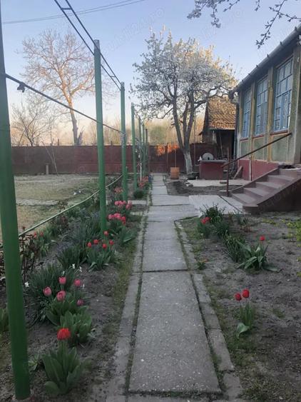 Casa cu teren 2275mp la Uliuc, 20km de Timi?oara - 5
