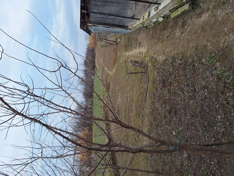 Vand casa in com.Poiana Mare,jud.Dolj - 1