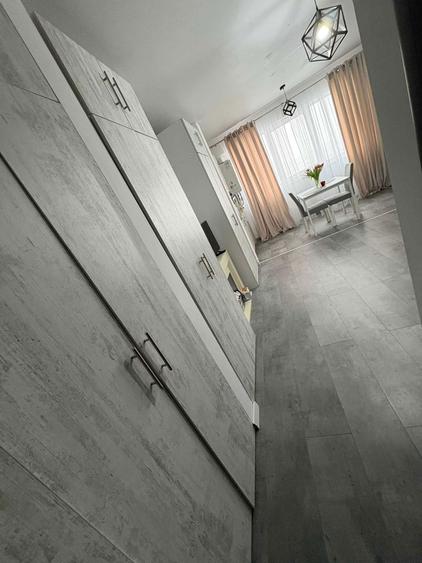 Garsonierea de inchiriat Pollux Residence - 4