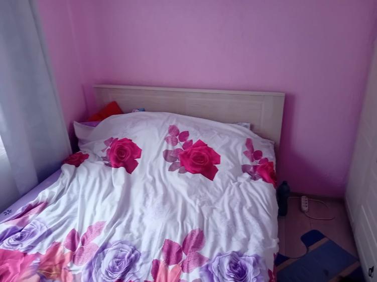 Ap 3 cam Aleea Ulmilor renovat 65mp parter balcon - 5