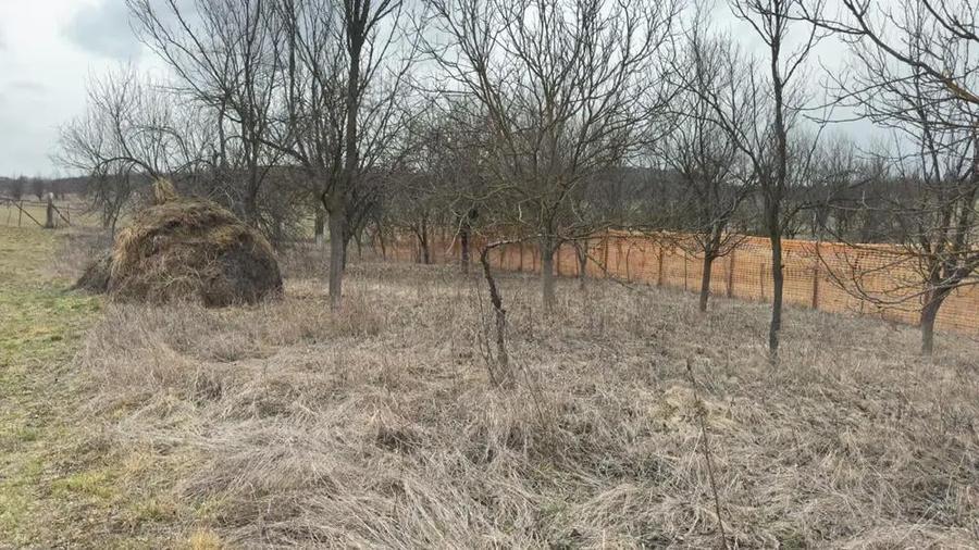 Vand 1064 mp teren intravilan Barlea judetul Cluj - 1