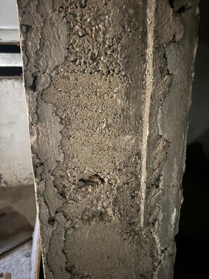 Branesti Calea Bucuresti - 11