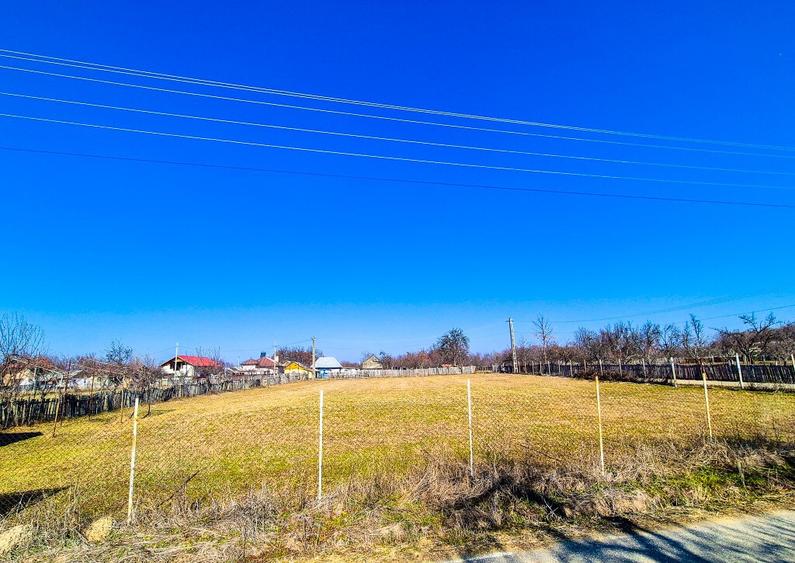 Teren Intravilan Cuca Arges - 10