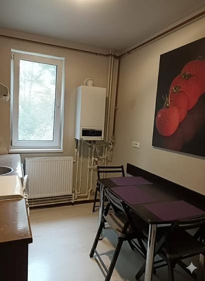 Etajul 1 , vedere City Parck Mall ,Gaze , 52 mp ,mobilat ,utilat ,termen lung - 6