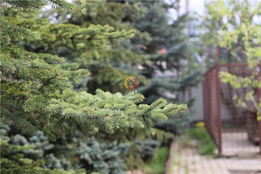 teren  intravilan18.000 mp pentru dezvoltare comerciala - 6