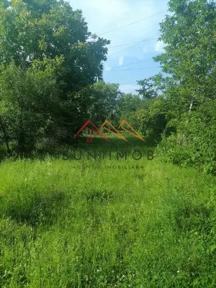 Teren intravilan Municipiul Campina, 1900 mp, investitie - 3