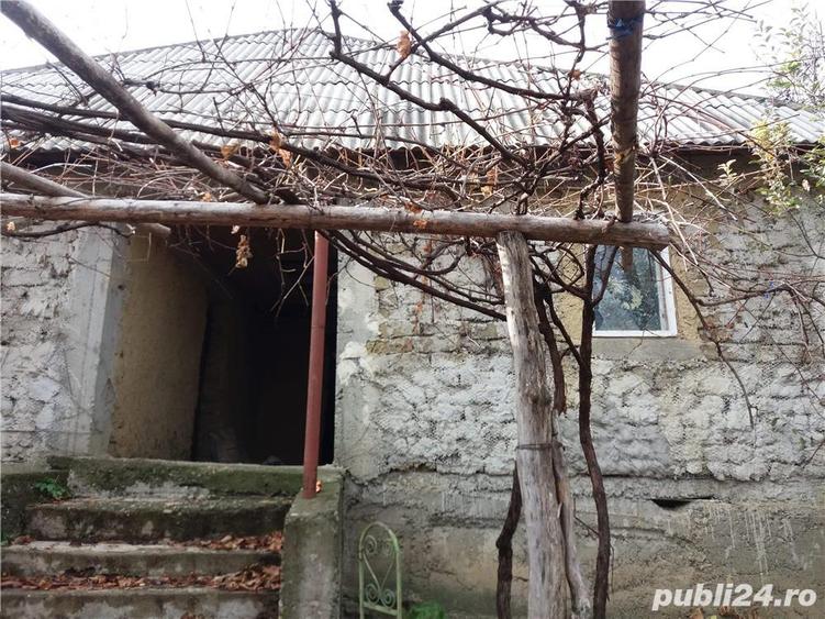 2 case ?i teren 3850m3 la ?ara - 4