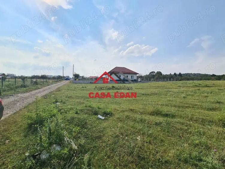 Teren intravilan in Campina, 7500mp--35e - 9