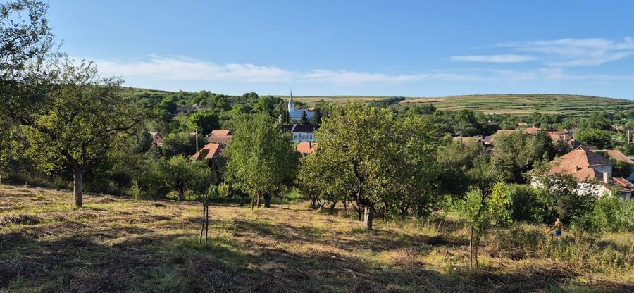 Vind casa Filea de Jos , teren suprafata 1800mp - 2