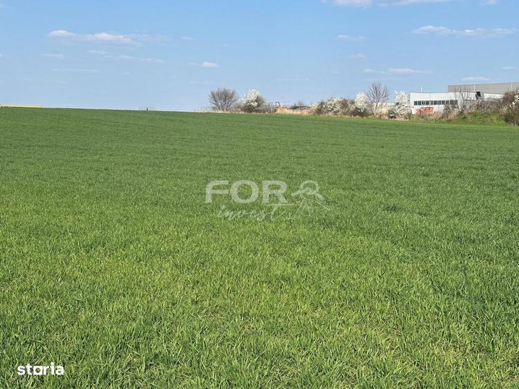 Teren intravilan de vanzare 1000 mp zona Aeroport Oradea - 4