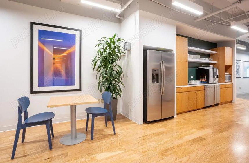 Acces nelimitat la spa?iu de birou in plan deschis pentru 10 persoane in Spaces Business Garden - 1