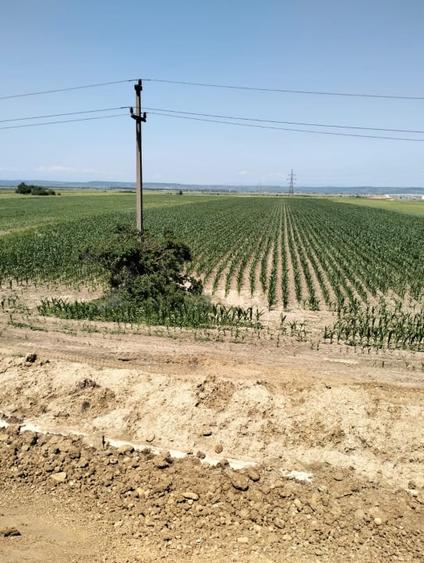 Teren Oarja de 8 400 mp, langa Pasarela A1, 5,5 euro/mp la Pretul 46 200 Euro. - 3