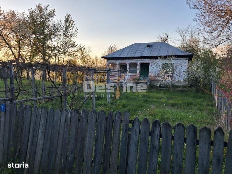 Casa batraneasca cu teren 1150 mp, vie si livada Serbanesti, Paus - 1