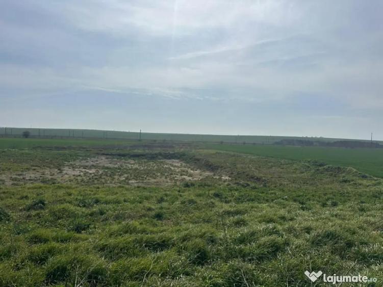 Teren extravilan 10.000 mp, DN-reprezentanta VOLVO -dezmembr - 6