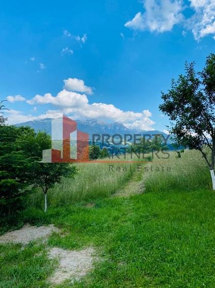 Vilă in Bran cu teren de 28.000 mp și priveliște spectaculoasa - 26